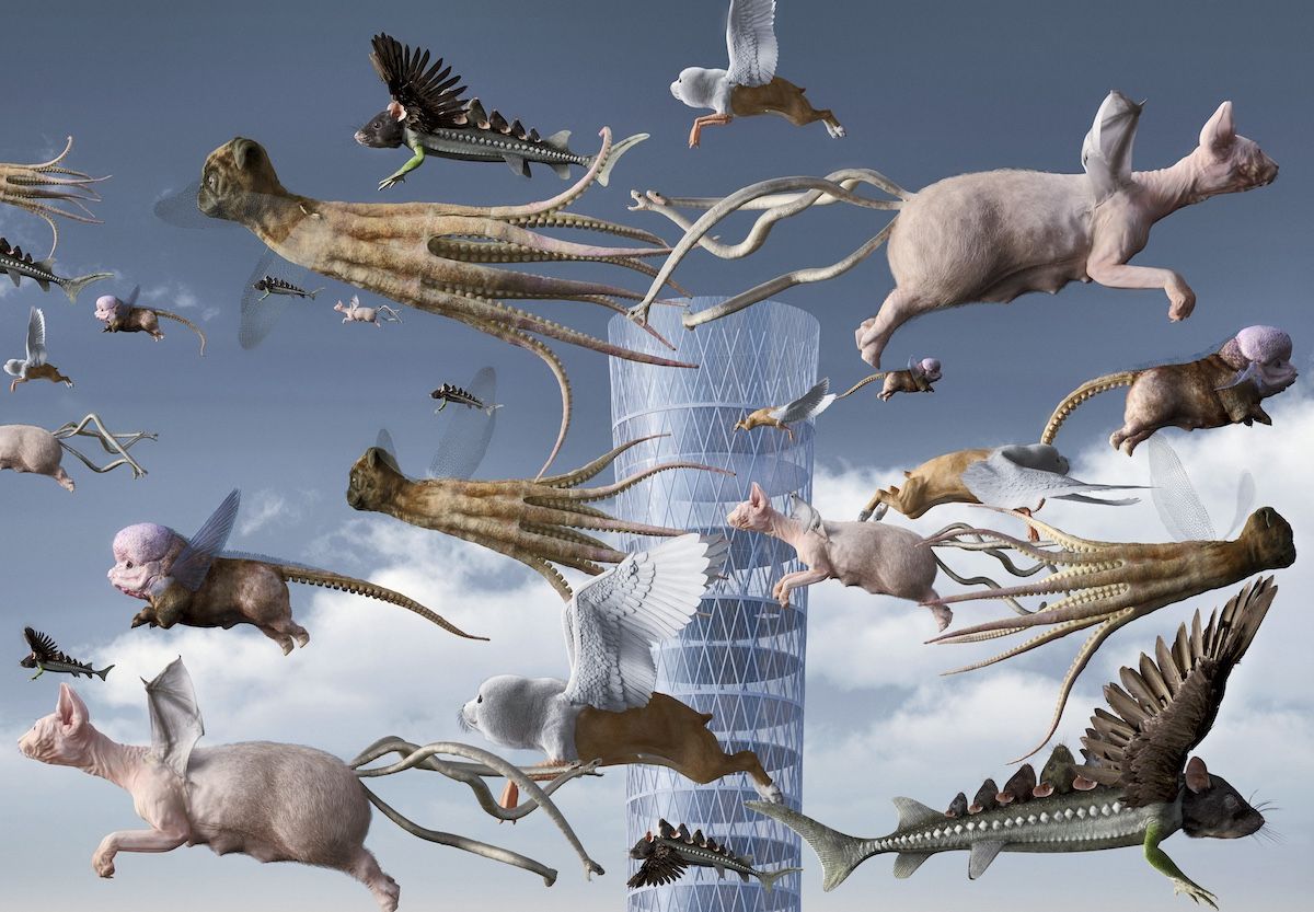 A computerised image shows monster-like animals flying in the sky: a fish with a rats head, frogs legs and eagle wings; a hairless cat with bat wings and a pigs body; a pug with octopus tentacles.